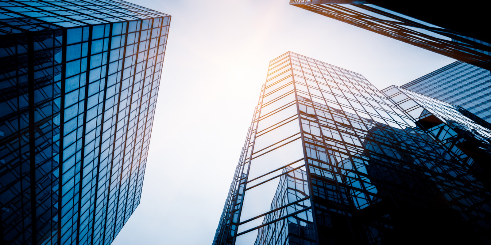 Limited Şirket, Anonim Şirket, Şahıs Şirketi: Hangisi Daha Avantajlı?